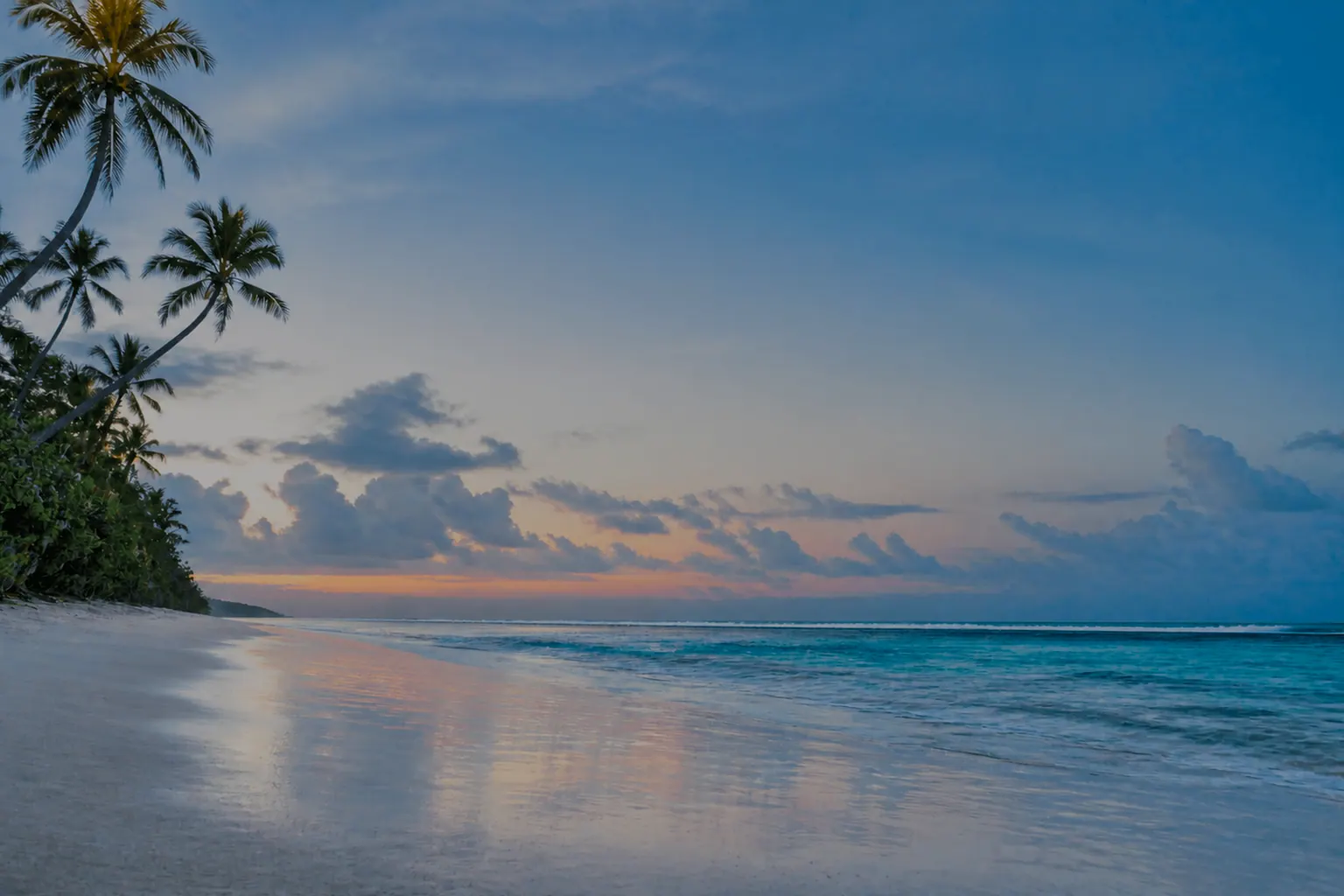 Nyali Beach at first light, coconut palms leaning over the sand and the reef breaking white across a pale dawn sky